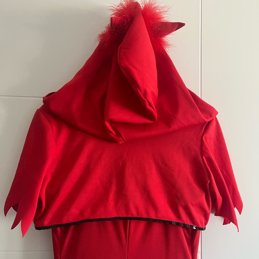 Devil Costume - Picture 7 of 11